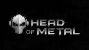 head of metal (2) (640x361).jpg